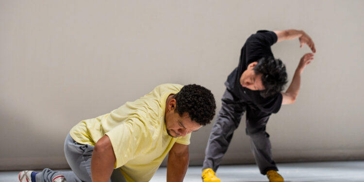 ‘Deciphers’ co-presented by Harbourfront Centre and DanceWorks