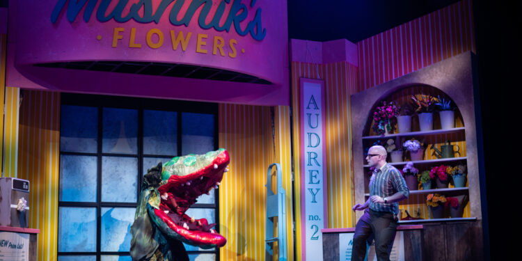 ‘Little Shop of Horrors’ Music by Alan Menkin. Book and Lyrics by Howard Ashman. Directed by Rob Kempson