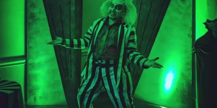 The Burton Experience