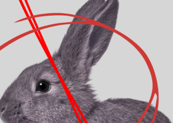 Upcoming and unconventional theatre experience at Toronto’s Assembly Theatre will challenge. That’s a good thing.